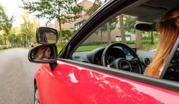 Rijschool in Nieuw-Amsterdam